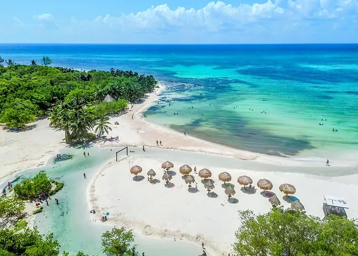 Quiet Mornings In Centro Playa, King & 2br Duplex Suites, Sleeps 2-8, Ado Bus 2 Min, 5th Ave 3 Min, & Cozumel Ferry 4 Min, Cenotes 20 Min, Kitchenette Wifi Ac