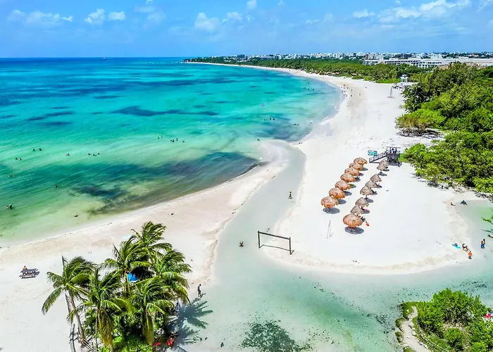 Appartamento Quiet Mornings In Centro Playa, King & 2br Duplex Suites, Sleeps 2-8, Ado Bus 2 Min, 5th Ave 3 Min, & Cozumel Ferry 4 Min, Cenotes 20 Min, Kitchenette Wifi Ac