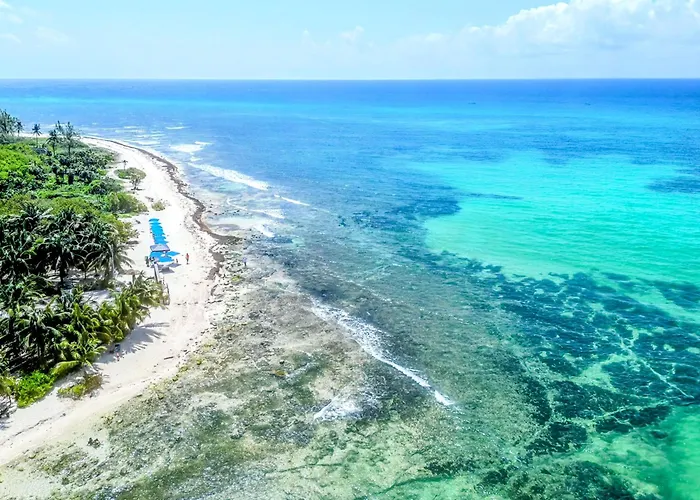 Quiet Mornings In Centro Playa, King & 2br Duplex Suites, Sleeps 2-8, Ado Bus 2 Min, 5th Ave 3 Min, & Cozumel Ferry 4 Min, Cenotes 20 Min, Kitchenette Wifi Ac * Playa del Carmen