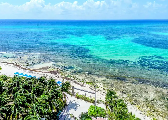 Quiet Mornings In Centro Playa, King & 2br Duplex Suites, Sleeps 2-8, Ado Bus 2 Min, 5th Ave 3 Min, & Cozumel Ferry 4 Min, Cenotes 20 Min, Kitchenette Wifi Ac Appartamento Playa del Carmen