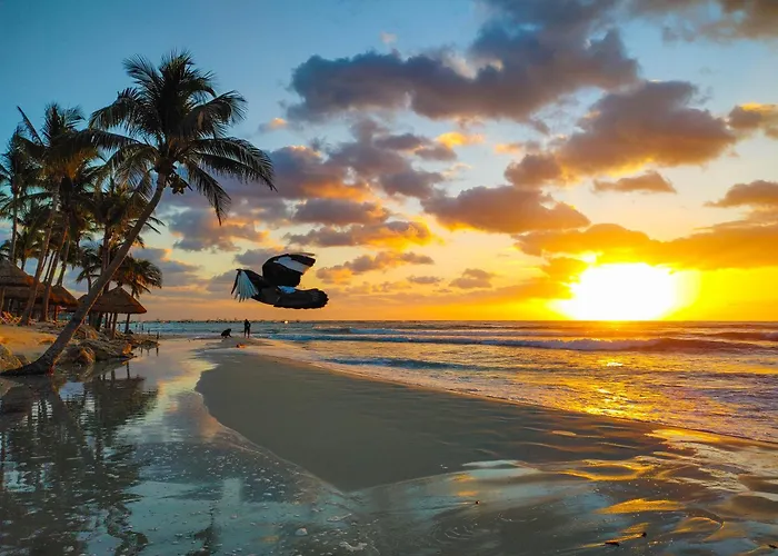 Appartamento Quiet Mornings In Centro Playa, King & 2br Duplex Suites, Sleeps 2-8, Ado Bus 2 Min, 5th Ave 3 Min, & Cozumel Ferry 4 Min, Cenotes 20 Min, Kitchenette Wifi Ac *