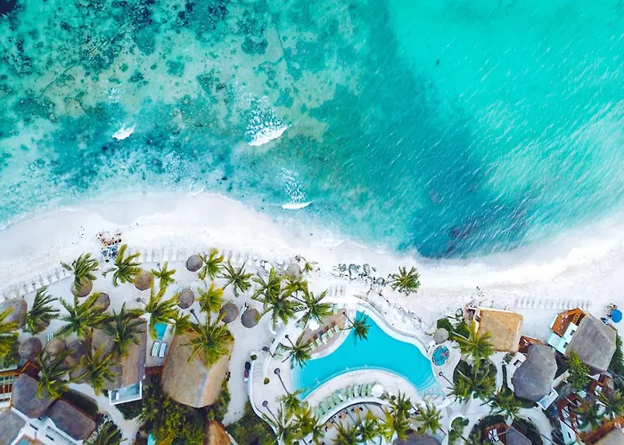 Appartamento Quiet Mornings In Centro Playa, King & 2br Duplex Suites, Sleeps 2-8, Ado Bus 2 Min, 5th Ave 3 Min, & Cozumel Ferry 4 Min, Cenotes 20 Min, Kitchenette Wifi Ac Playa del Carmen