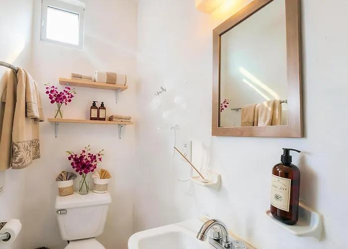 Appartamento Quiet Mornings In Centro Playa, King & 2br Duplex Suites, Sleeps 2-8, Ado Bus 2 Min, 5th Ave 3 Min, & Cozumel Ferry 4 Min, Cenotes 20 Min, Kitchenette Wifi Ac *