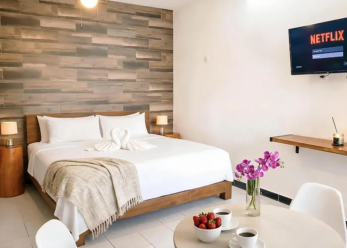 Quiet Mornings In Centro Playa, King & 2br Duplex Suites, Sleeps 2-8, Ado Bus 2 Min, 5th Ave 3 Min, & Cozumel Ferry 4 Min, Cenotes 20 Min, Kitchenette Wifi Ac * Playa del Carmen