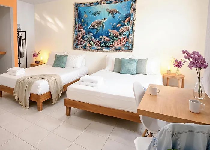 Appartamento Quiet Mornings In Centro Playa, King & 2br Duplex Suites, Sleeps 2-8, Ado Bus 2 Min, 5th Ave 3 Min, & Cozumel Ferry 4 Min, Cenotes 20 Min, Kitchenette Wifi Ac Playa del Carmen